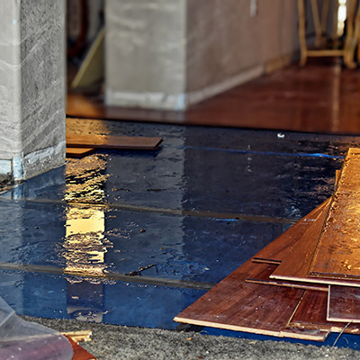 Water Damage, Carpet Cleaning in Phoenix, AZ