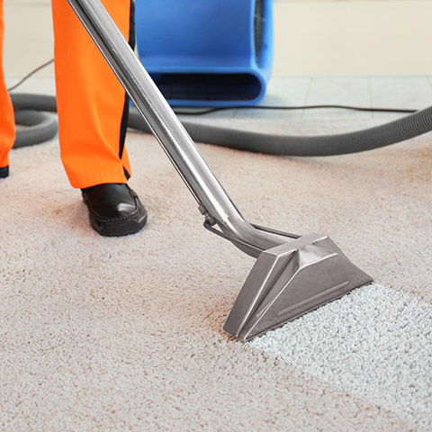 Carpet Cleaning in Phoenix