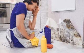 How to clean mold off walls