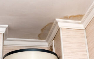 Mold on Ceiling