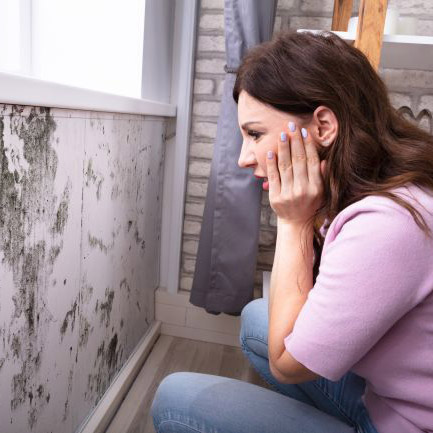 Mold on Wall in House