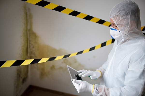 Home Mold Inspection in Phoenix