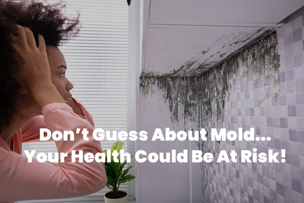 Black mold inspection in Phoenix, AZ